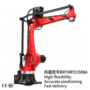 Robot Industrial BORUNTE BRTIRPZ1508A de 4 Ejes, Brazo Robótico con Capacidad de Carga de 8 kg, con Motor y Caja de Cambios para Fundición a Presión, Carga/Descarga - Product Image 2