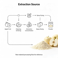 Fabrieksleverancier appelvruchtextractpoeder, natuurlijke lichtgele fruitkleur, appelaroma, grondstof, voedingsmiddelen- en cosmeticakwaliteit