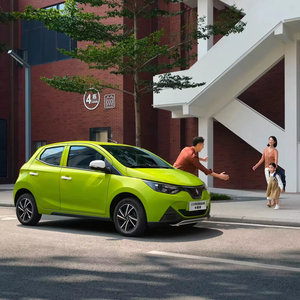 2023 auto nuove Reynold Jiang ling <span class=keywords><strong>Group</strong></span> Little Kirin 4 posti mini auto economiche In Stock piccole kylin Mini auto elettriche - Product Image 6