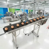 TIJ Inkjet Labelprinter 1-6 koppen, voedselveilige inkt, 25,4 mm, industriële hogesnelheids automatische codeermachine voor eieren, voedselverpakkingen en plastic.