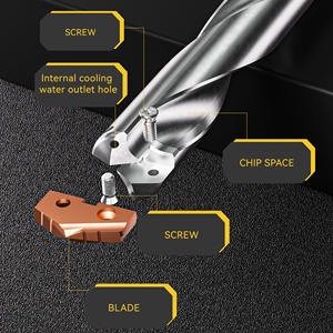 Punta da Trapano SERTAN SD30 per Metallo, Tipo Spade/Pala/Crown/Gun/Spray/Polvere di Cobalto - Product Image 1