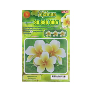 Boletos de Lotería Personalizados en Línea, Boletos de Lotería Rasca y Gana, Diseño Gratuito de Fábrica, Producción de Alta Calidad - Product Image 2
