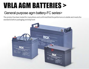 Batería AGM Sellada de Ciclo Profundo OEM de 6V 226Ah para Electrodomésticos, Carritos de Golf, Barcos, UPS, Telecomunicaciones, Almacenamiento de Energía Solar - Product Image 6