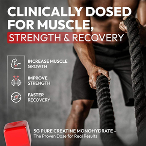 Biocchn <span class=keywords><strong>Creatine</strong></span> อาหารเสริมสร้างกล้ามเนื้อสำหรับฝึกออกกำลังและออกกำลัง - Product Image 6