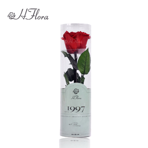 HFloral venta al por mayor buen precio alta calidad 20Cm tallo largo <span class=keywords><strong>Rosa</strong></span> 4 ~ 5 cm <span class=keywords><strong>Rosa</strong></span> cabeza preservada rosas con tallo - Product Image 2
