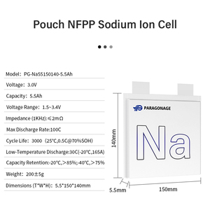Paragonage NFPP 100C 3.0V 5.5Ah-20Ah 파우치 폴리머 나트륨 이온 배터리 셀 시작 배터리 - Product Image 2