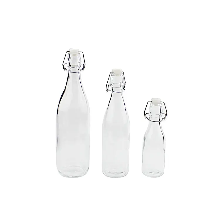 Nieuwe Ontwerp Mode Glas Sap Drank Fles Met Clip Deksel