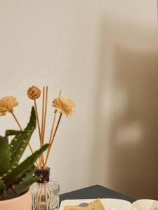 Pintura Texturizada Acrílica a Base de Agua QYM, Aplicación con Brocha, Directo de Fábrica, Pintura Decorativa para Paredes, para Decoración de Edificios - Product Image 4