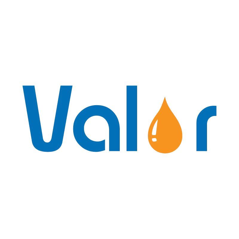 Wenzhou Valor Sanitary Ware Co., Ltd. logo