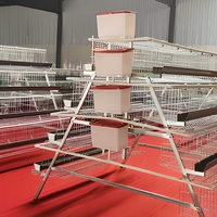 Nouveau système de cages automatiques pour poules pondeuses de type A, cage commerciale pour 96-160 poules, gain de place