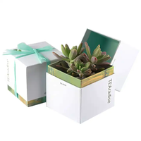 Boîte de papier d'emballage de plante cadeau vide personnalisée pour plantes succulentes