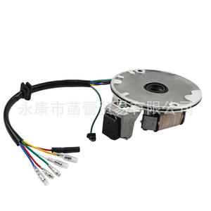 Juego Completo de Piezas de Motocicleta JH70, Nuevo Conjunto de Bobina de Encendido Magneto de Plástico, Placa del Estator, Soporte, Caja de Encendido Magnética - Product Image 1