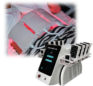 بيع بالجملة 6D محمول أحمر بارد مصدر 6 أطوال موجية فعالة علاج الذراع الأرداف مع 10 منصات - Product Image 1