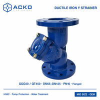 Filtre en Y en fonte ductile DN65-DN125 GGG50 QT450 avec embout en acier inoxydable SS304 PN16 pour pompe CVC et traitement de l'eau OEM ACKO