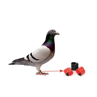 Logo personnalisé anneau RFID UHF RFID Pigeon Tag suivi course poulet pied anneau jambe anneau étiquettes pour Pigeon