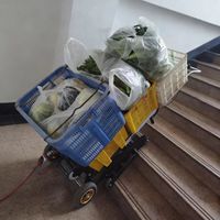 Máquina Eléctrica para Subir Escaleras, Herramienta para Subir Escaleras, Puede Transportar Materiales de Construcción y Carros de Plataforma