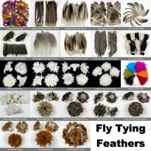 Plumes de <span class=keywords><strong>faisan</strong></span> collier naturelles tachetées pour la confection de mouches, nymphes, mouches sèches, leurres artificiels pour la pêche à la truite et au saumon - Product Image 4