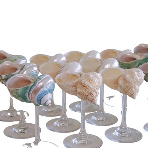 Vaso de chupito de concha marina natural con tallo transparente, hecho a mano, temática costera y oceánica, taza decorativa para beber, regalo para fiestas, venta al por mayor - Product Image 1