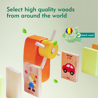 Jouets éducatifs en bois Montessori pour enfants de 3 à 5 ans, circuit de billes sensoriel, jeu de dominos avec billes