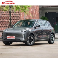 2025 Geely Galaxy Geome Xingyuan New Energy Vehicle LHD Pure Electric Car EV Hatchback 310km Range RWD Luxury pour la vente en gros