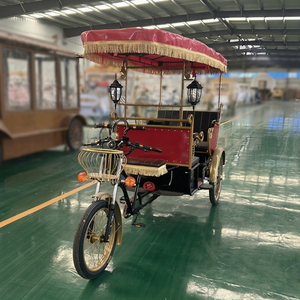 Tricycle Rickshaw Électrique à Trois Roues, Monorangée, 6 Vitesses, Cadre en Acier, Freins Hydrauliques au Pied et à la Main, Tendance pour Touristes - Product Image 1