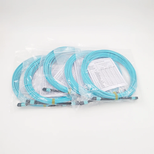 Ruiara OPTICS MPO 8/12/24芯OM4光ファイバーパッチコード（データセンターおよび5Gネットワーク用、1年間保証付き）CN/GUA - Product Image 5