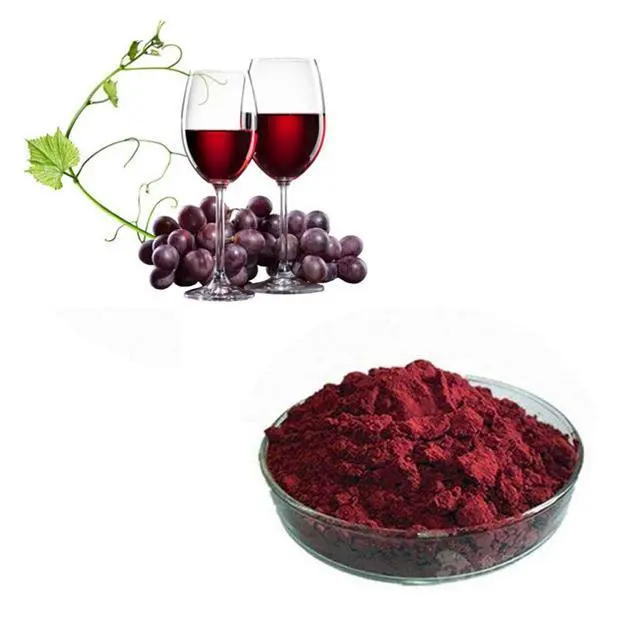 Polvo de extracto de vino tinto instantáneo antioxidante Natural de alta calidad profesional polifenoles de vino tinto