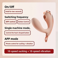 Stimulateur clitoridien à succion contrôlé par application, culotte vibrante pour femmes, suceur de clitoris, masturbateur féminin, jouet sexuel interactif pour couples