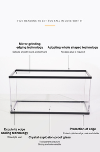 Barbare BG Croissance ZJDS-G01 Amazon 2021 vente chaude PC Terrarium Cage tortue reptile serpent terrarium en verre - Product Image 3