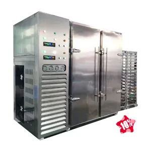 Commercial Blast Chiller Shock Freezer For Meat