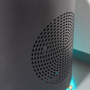 Bain froid de luxe en acier inoxydable pour extérieur avec refroidisseur et <span class=keywords><strong>filtre</strong></span> - Product Image 5