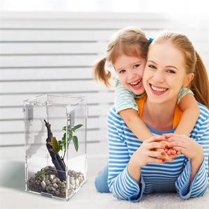 Exhibidor de Acrílico Transparente Personalizado para Reptiles, Terrarios con Cierre de Seguridad, Apto para Tarántulas e Isopodos - Product Image 6