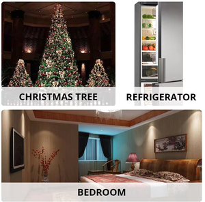 <span class=keywords><strong>Ampoule</strong></span> <span class=keywords><strong>de</strong></span> réfrigérateur E14 10W <span class=keywords><strong>15W</strong></span> T20 T22 T16 Lumière tubulaire Mini lumière <span class=keywords><strong>de</strong></span> réfrigérateur - Product Image 4