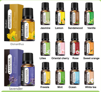 Diffuseur d'arômes à ultrasons avec prise USB, capacité de 10 ml, huile essentielle soluble dans l'eau, parfum, humidificateur, soin du visage