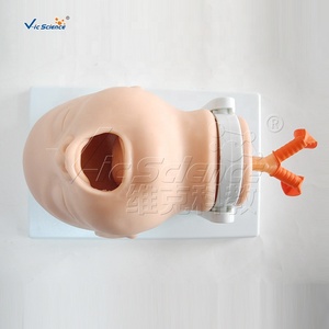 Modelo de Intubación de Recién Nacidos, Modelo de Enfermería Pediátrica, Modelo Médico de Enfermería Pediátrica - Product Image 3