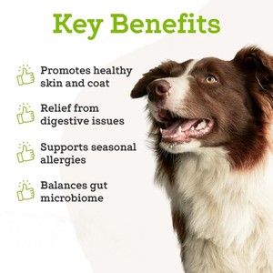 Suplemen Kunyah Vitamin Hewan Peliharaan untuk Kesehatan Pencernaan, Tersedia OEM/ODM, Mendukung Perawatan Pencernaan, Probiotik, Suplemen Hewan Peliharaan - Product Image 2