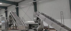 Bí ngô chế biến trái cây dây chuyền sản xuất thiết bị sản xuất, máy móc Chế biến bột giấy bí ngô, chế biến nước ép bí ngô - Product Image 3