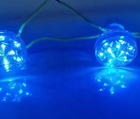 Nouvelle Arrivée E14 45MM 24V 110V RGBW Cabochon Projecteurs Thème Parc Lumineux Pixel LED pour Manèges d'Attraction