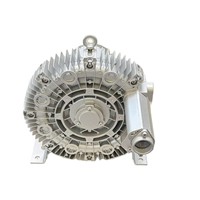 Souffleur annulaire à canal latéral régénératif 0,75 CV 0,55 kW 0,63 kW Triphasé 380 V pour l'aération des eaux usées