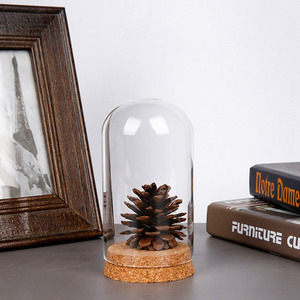 Dôme rond <span class=keywords><strong>de</strong></span> haute qualité 6*8cm forme <span class=keywords><strong>de</strong></span> boule fleur immortalisée cadeaux décoration verre affichage cloche pot avec Base en liège - Product Image 4