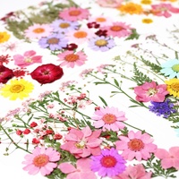 Natuurlijk bloemen DIY-materiaalpakket Embossing Handgemaakte feeënmake-up voor studenten Bruiloft Kerst Gezichtsdecoratie Goedkeuring