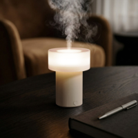 Humidificateur ultrasonique avec aromathérapie et veilleuse LED, alimenté par USB, faible bruit (<36 dB), portable, pour chambre et hôtel