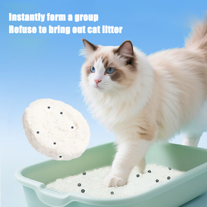 Litière pour chat en cassave naturelle, 99,9 % sans poussière, forte absorption, neutralisation des <span class=keywords><strong>odeurs</strong></span>, écologique, sans danger pour <span class=keywords><strong>les</strong></span> animaux domestiques - Product Image 2