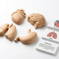 Ensemble de cartes flash personnalisées Montessori en papier et bois pour l'association des organes humains : Cœur, Cerveau, Poumon, Estomac (3 parties) avec images, étiquettes et définitions