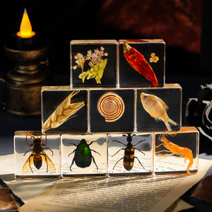 Artesanías de Resina Hechas a Mano, Especímenes de Insectos Encapsulados en Bloques de Resina, Pisapapeles con Forma de Avispa, Los Mejores Regalos para que los Niños Observen <span class=keywords><strong>la</strong></span> Naturaleza en <span class=keywords><strong>la</strong></span> Escuela - Product Image 5