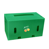 Op Maat Gemaakte Pp Gegolfde Plastic Fruitverpakkingsdoos Pp Plastic Opvouwbare Transportdoos Groente Opbergdoos