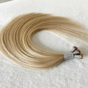 Paquets 10a cuticules alignées vendeur vierge cheveux brésiliens de haute qualité génie trame extensions de cheveux cheveux humains vente en gros