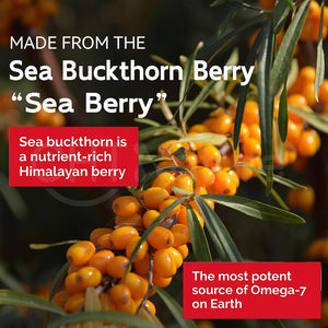 CHTNature Sea Buckthorn Seed e Berry Oil Cápsulas Omega 3-6-7-9 <span class=keywords><strong>Seabuckthorn</strong></span> Softgels - Product Image 4