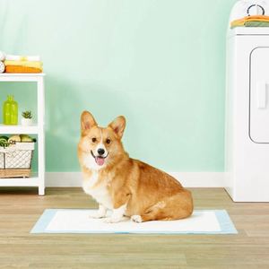 Tapis d'apprentissage de la propreté super absorbants pour chiens - Product Image 6