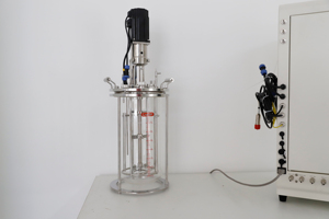 Biorreactor de vidrio de sobremesa LAB1ST 1L 3L 5L 7L 10L 15L - Product Image 6
